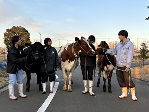 bukatusyoukai.yogyu1