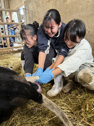 bukatusyoukai.yougyu4