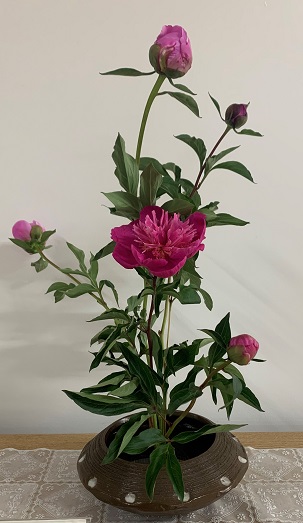 bukatusyoukai.kadou3