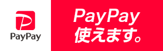 paypaylogo2320_100