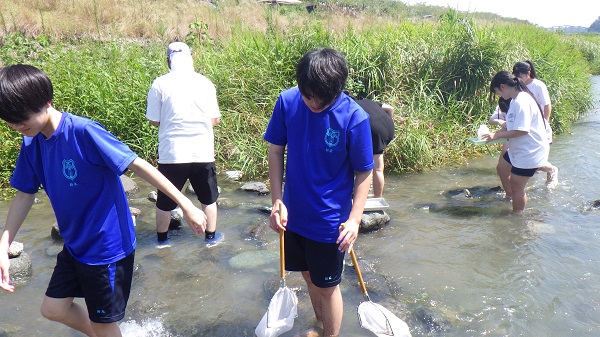 楽しそうに採集をする生徒たち