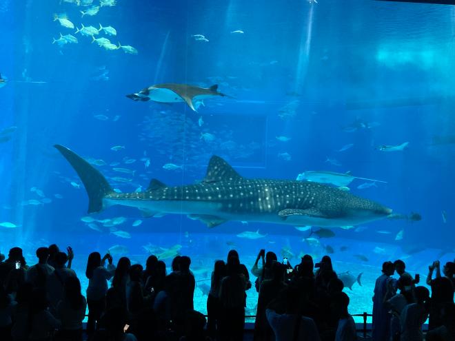 水族館