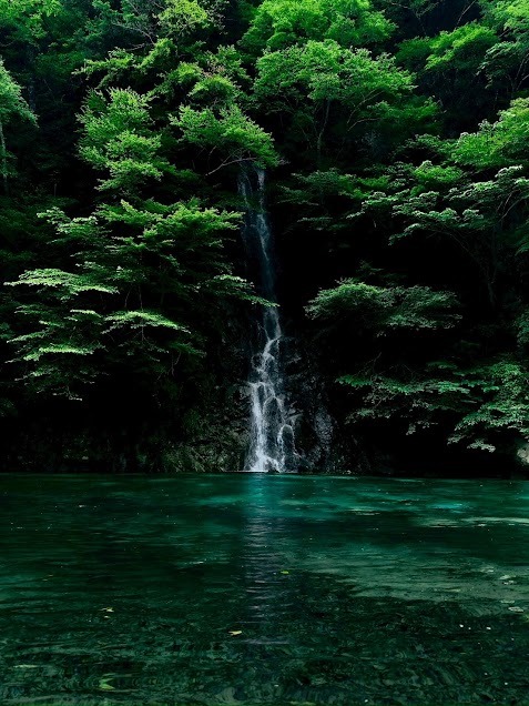 山岳部