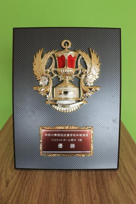 修正した盾