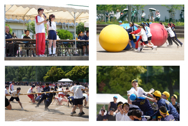 開会式、障害物競走（大玉転がし）、綱引き、騎馬戦