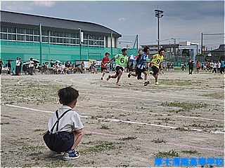 色別対抗理リレー1