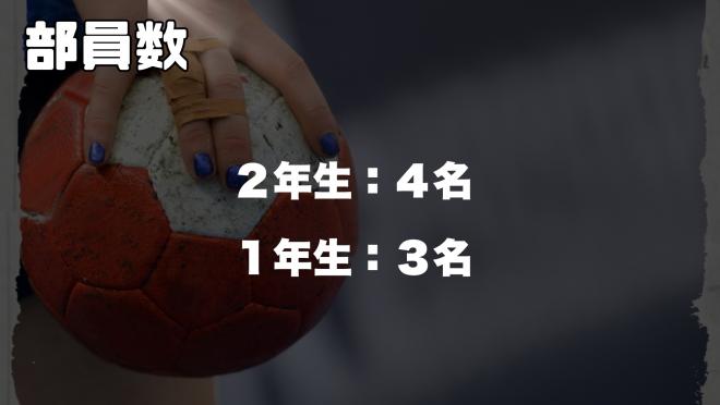 女子ハンドボール部3