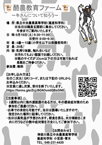26090401.png