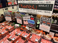 26090720.png