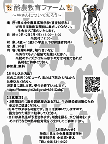 26093004.png