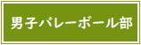 【バナー】男子バレーボール部