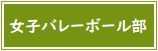 【バナー】女子バレーボール部