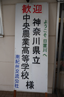 26091177.png