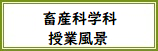 chikusan.png