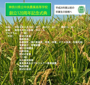 120sikiten-1_R.png