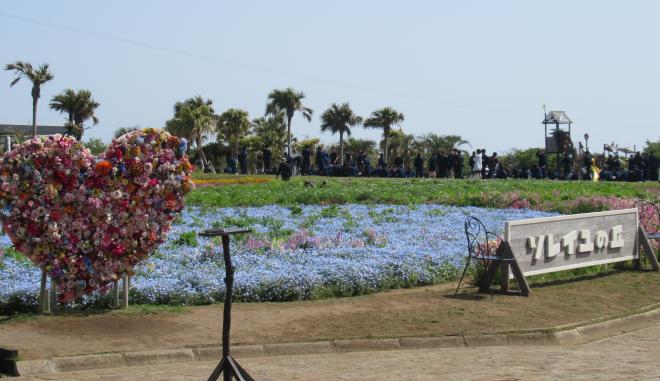 ふれあいキャンプ６