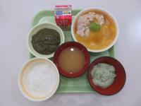 2月21日初期食写真