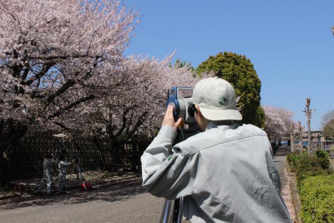 R6_桜と土木_2