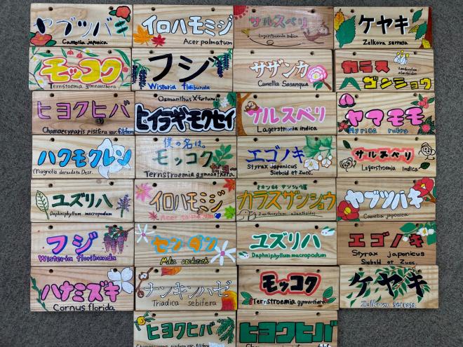 樹名板②