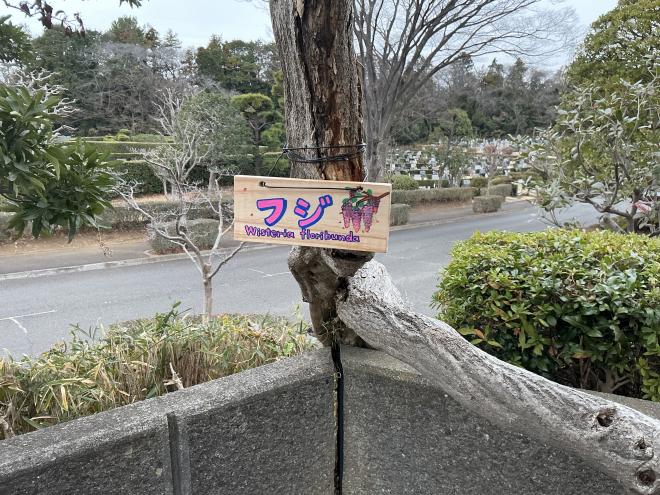 樹名板