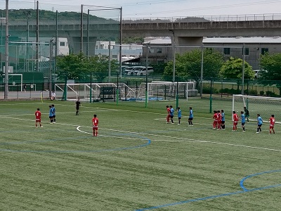 290260509