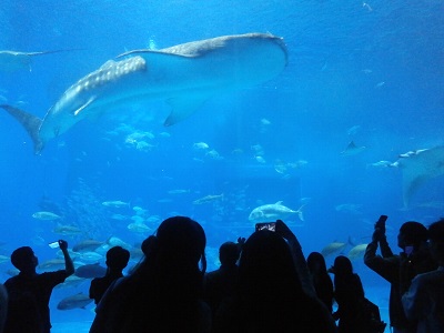 水族館