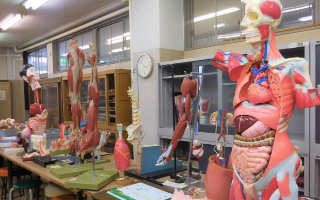 解剖模型室の写真