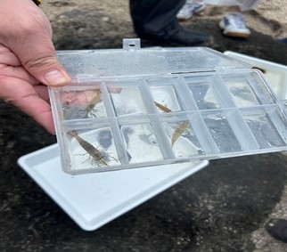 PreSportsFestivalNo2