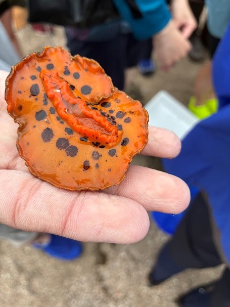 PreSportsFestivalNo3