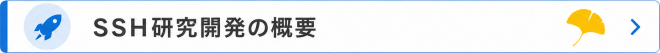 gaiyou.png