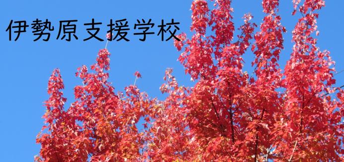 伊勢原支援学校