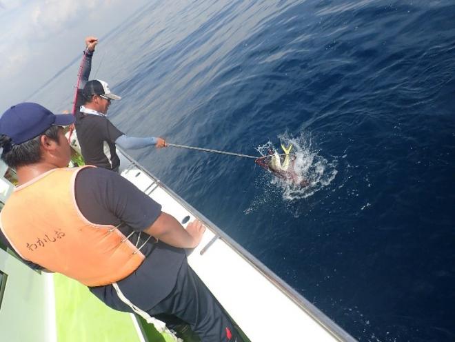 釣魚技能向上研究会