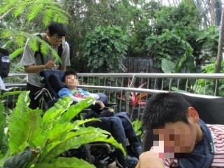 夢の島熱帯植物館7