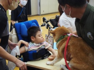 ドッグセラピー