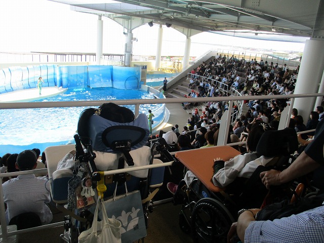 新江ノ島水族館1