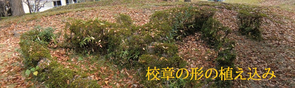 校章の形の植え込み