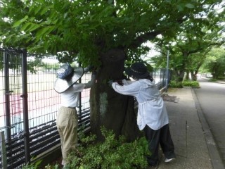 B2前期グループ実習2