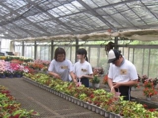 B2前期グループ実習3