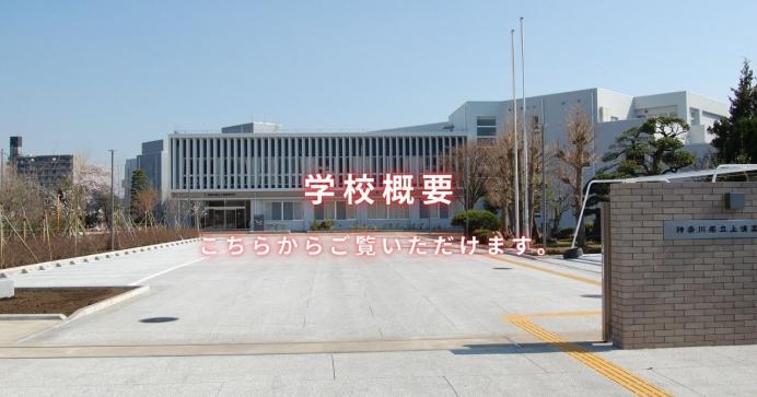 学校概要