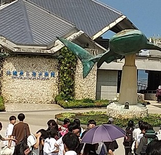 美ら海水族館2