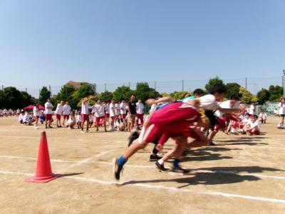 体育祭に