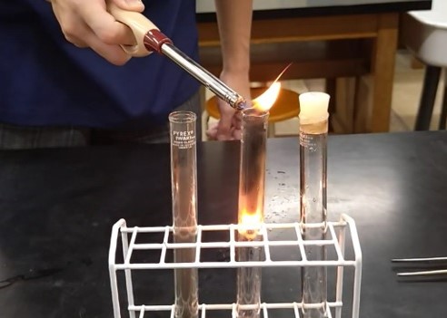 science2