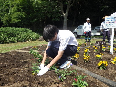 花の苗植えの様子1