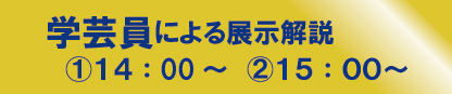 学芸員ガイド