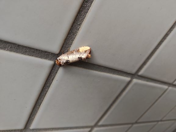 理科同好会202503