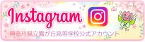 Instagramアカウントリンク