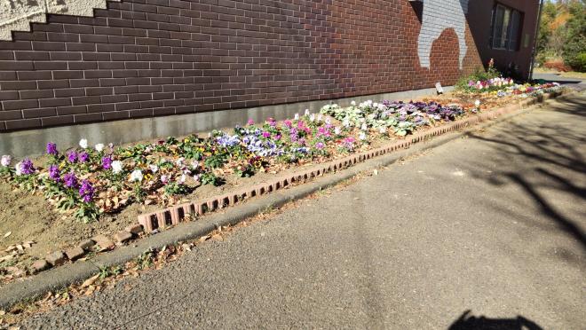 R7フラワープロジェクト5