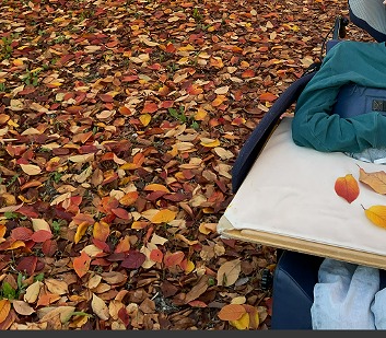 秋が深まり、12月。宿泊学習を待ちながら落ち葉をひろう。