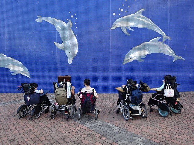 イルカのイラストが描かれた壁