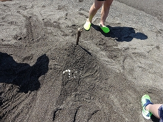 砂浜での造形活動
